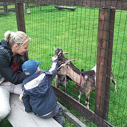 Petting zoo Holiday Village Ponyhof