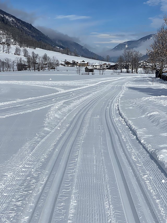 Die gespurten Loipen 