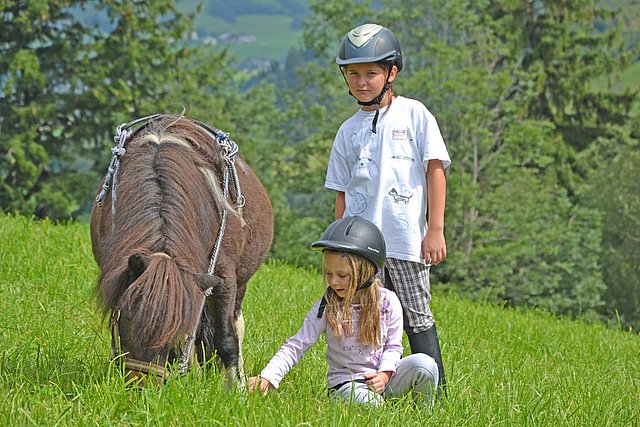 Ponyriding Holiday Village Ponyhof